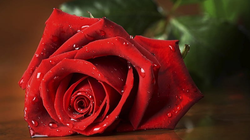 The Nepalese government has banned imports of fresh roses from countries like India and China ahead of Valentine's Day.