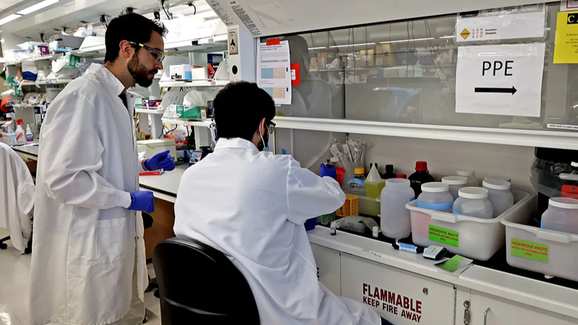 Immediate Action Needed to Combat Bird Flu Threat