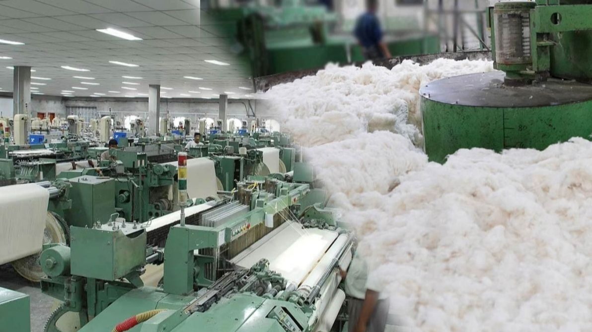 Best Sustainable Fabrics in Ahmedabad: Sky Textiles