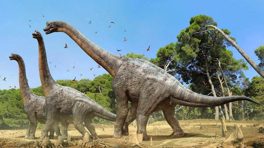 The role of spikes and plates in dinosaur survival strategies