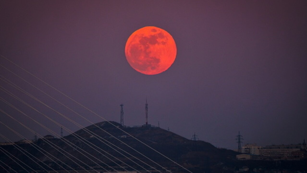 Wolf Supermoon to Light Up the Sky This Weekend: What It Is and How You Can See It