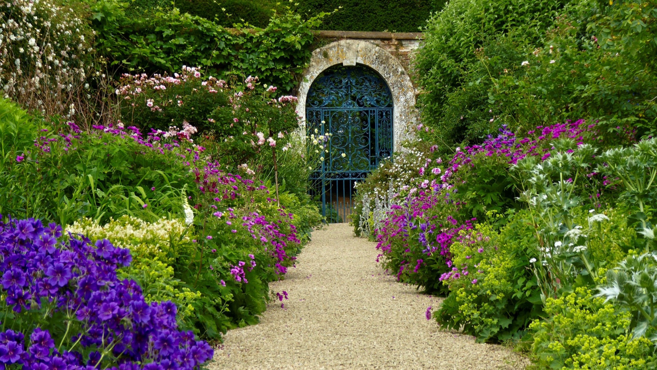 Gardens are disappearing from the landscape, says National Trust
