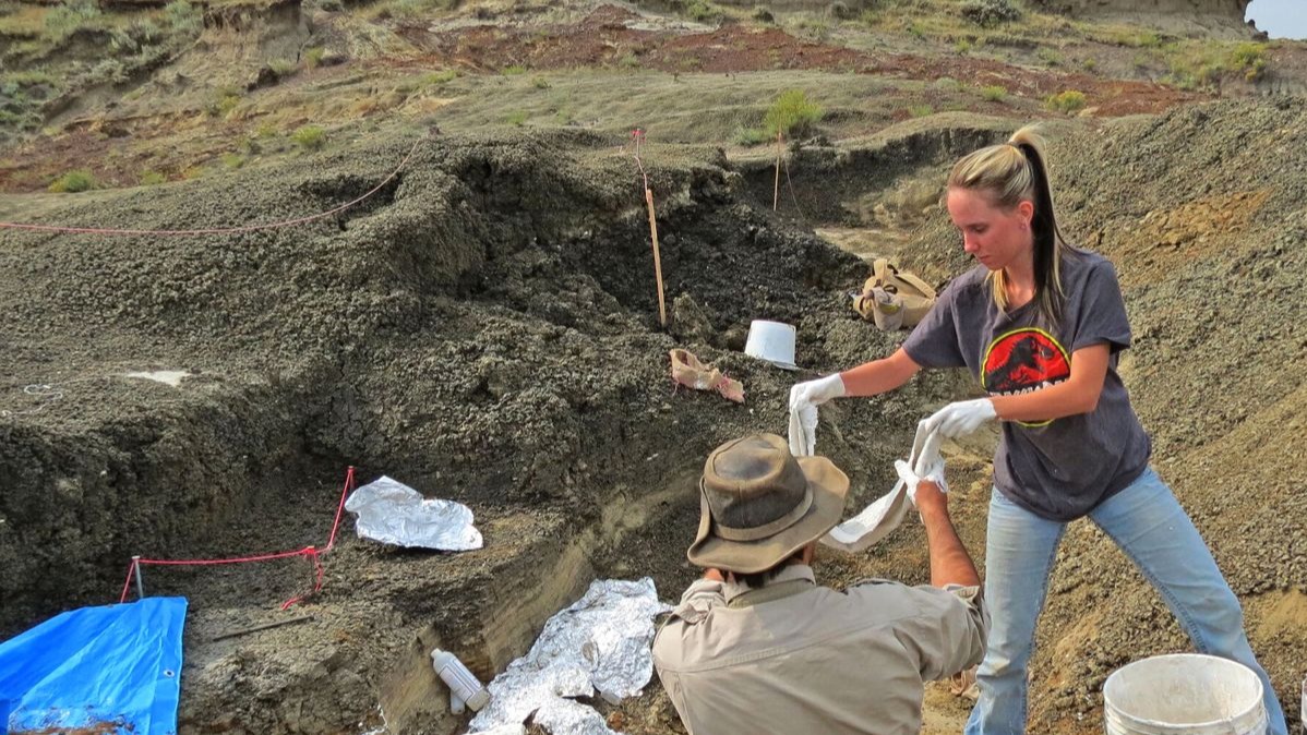 Tanis: "First Dinosaur Fossil Linked to Asteroid Impact"