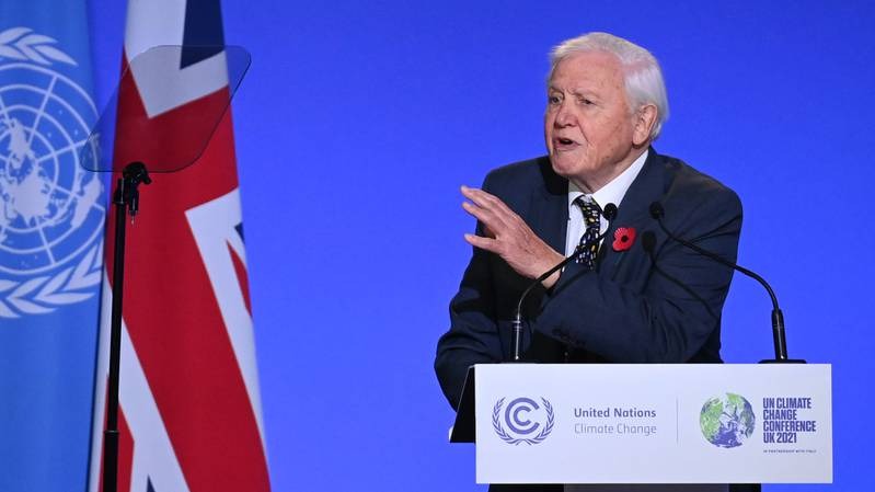 The United Nations has named Sir David Attenborough a Champion of the Earth