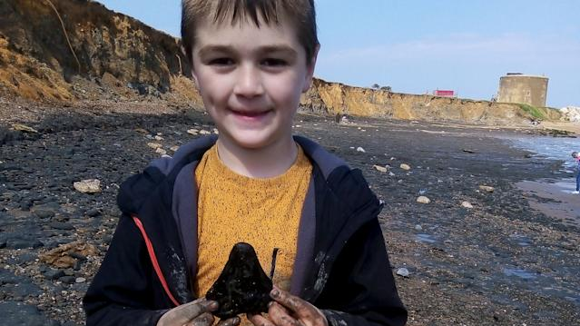 6-year-old boy finds giant teeth from megalodon shark at Bowdy Beach