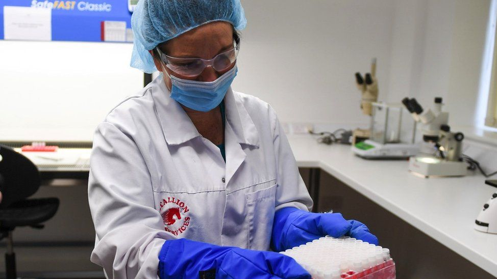 Extinction: Why scientists freeze endangered species in 'biobanks.'